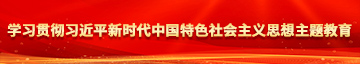 免费操逼网址学习贯彻习近平新时代中国特色社会主义思想主题教育